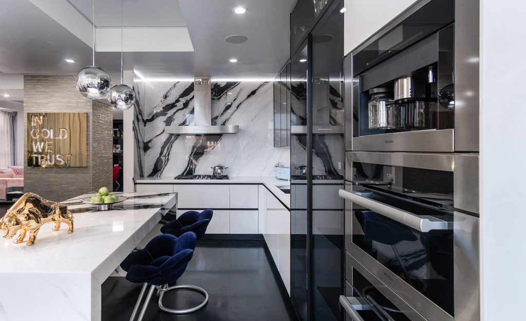 Contemporary black and white luxury kitchen