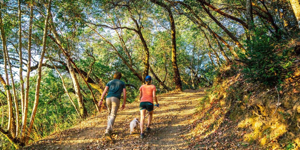 Young couple hiking in a luscious forest in Sonoma County CA